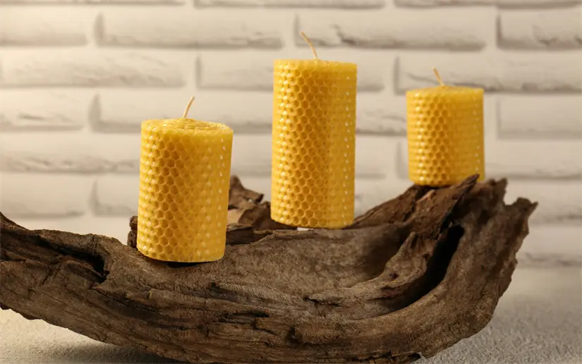 imagen recuadro imagen recuadro