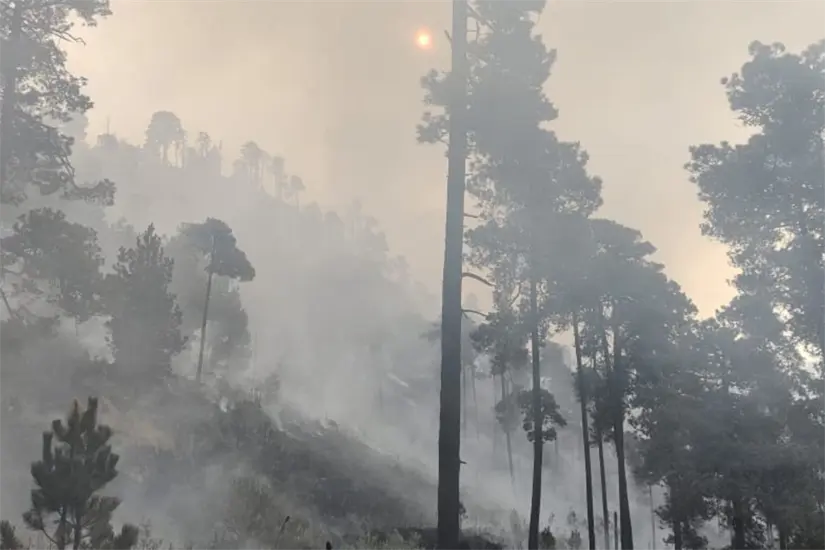 imagen recuadro imagen recuadro