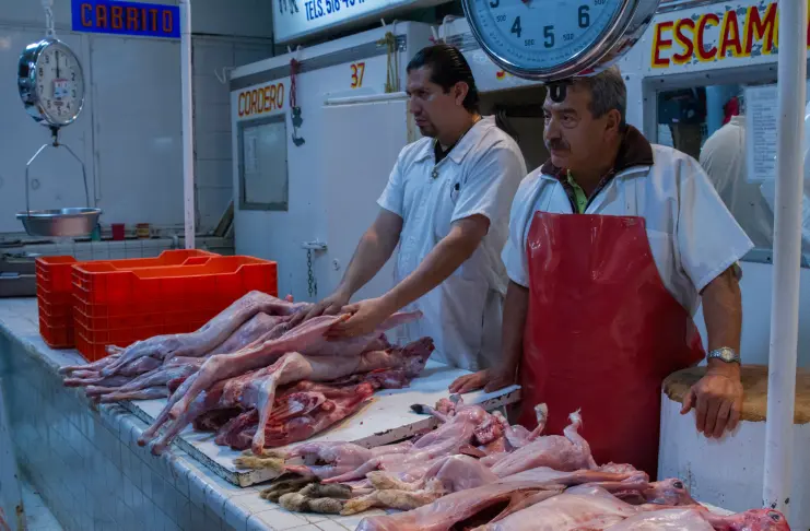 imagen recuadro imagen recuadro