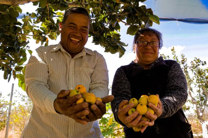 imagen recuadro imagen recuadro