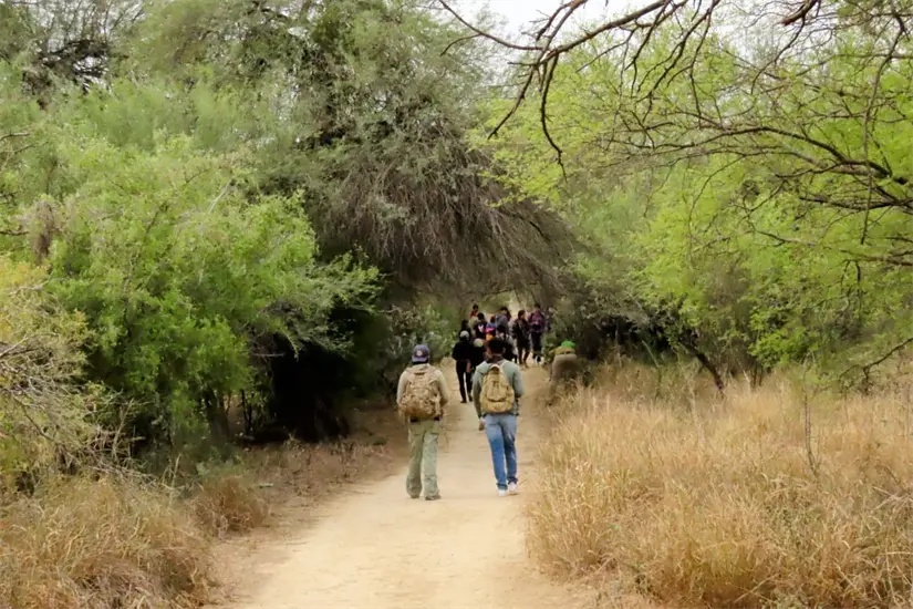 imagen recuadro imagen recuadro