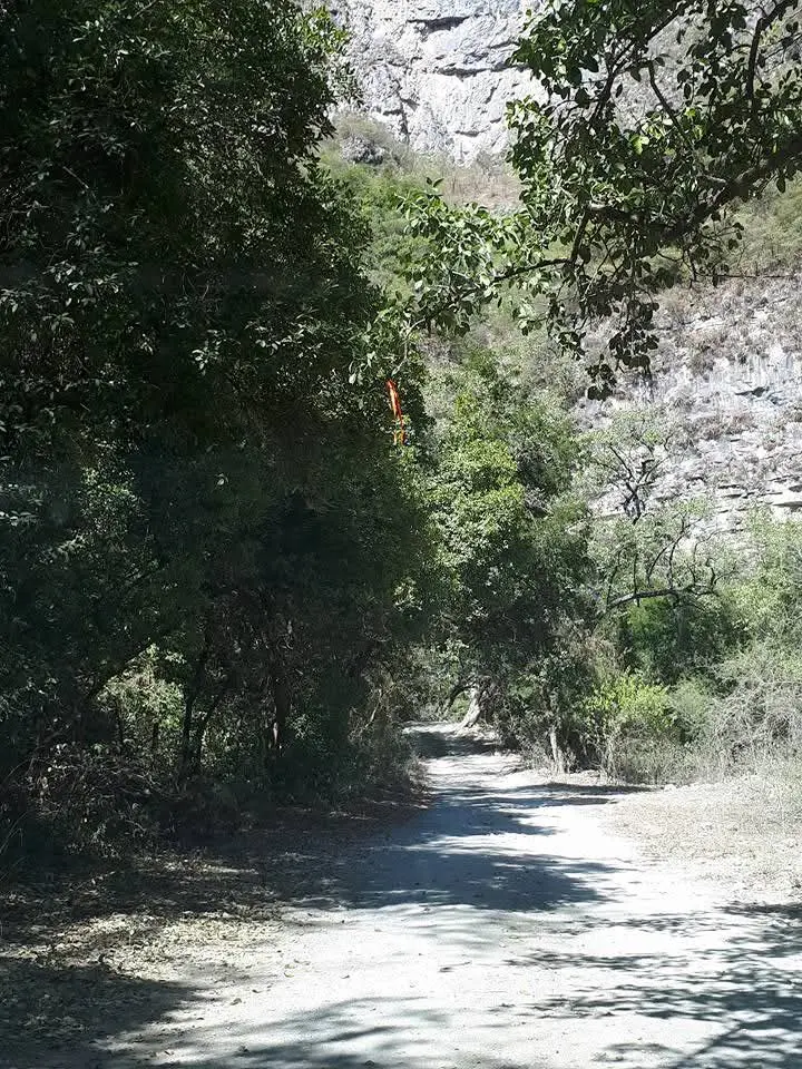 imagen recuadro imagen recuadro