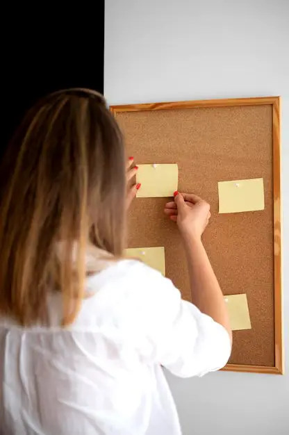 imagen recuadro imagen recuadro