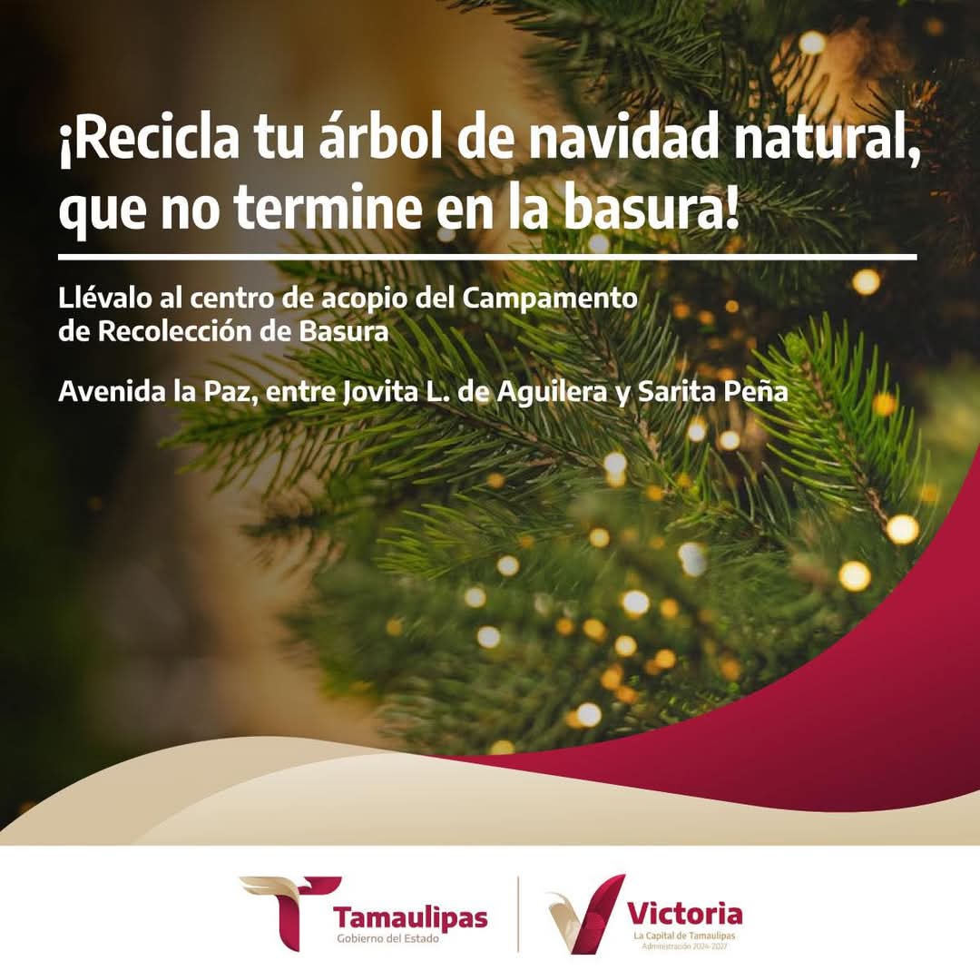 imagen recuadro