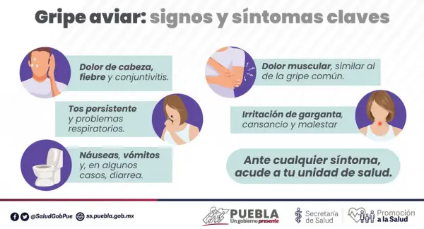 imagen recuadro