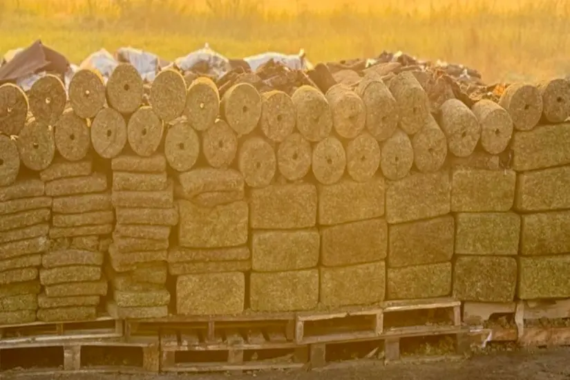 imagen recuadro imagen recuadro