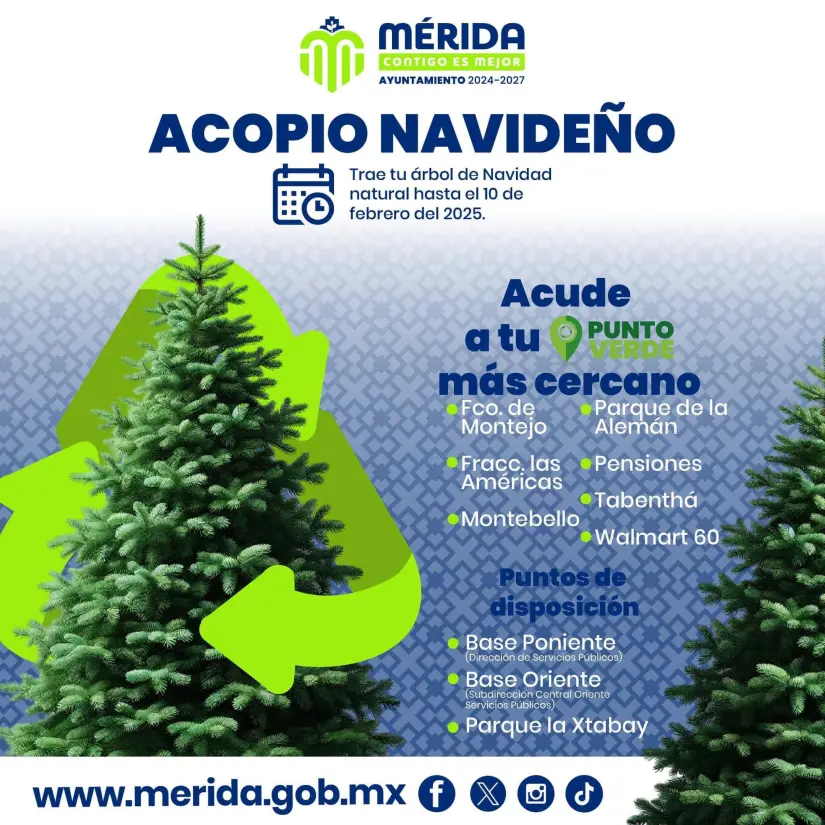 imagen recuadro