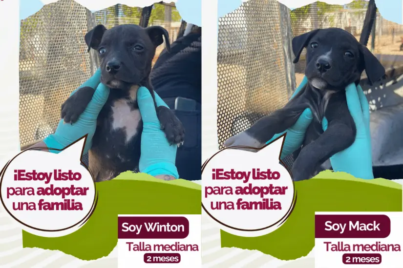 imagen recuadro