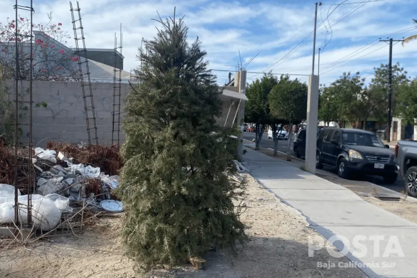 imagen recuadro imagen recuadro