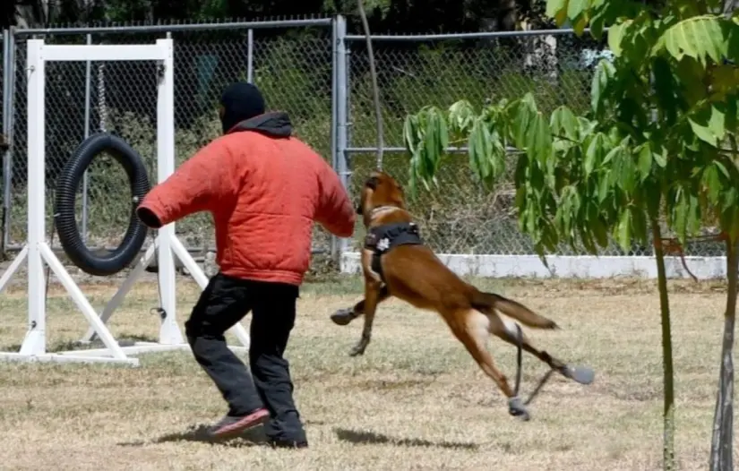 imagen recuadro imagen recuadro