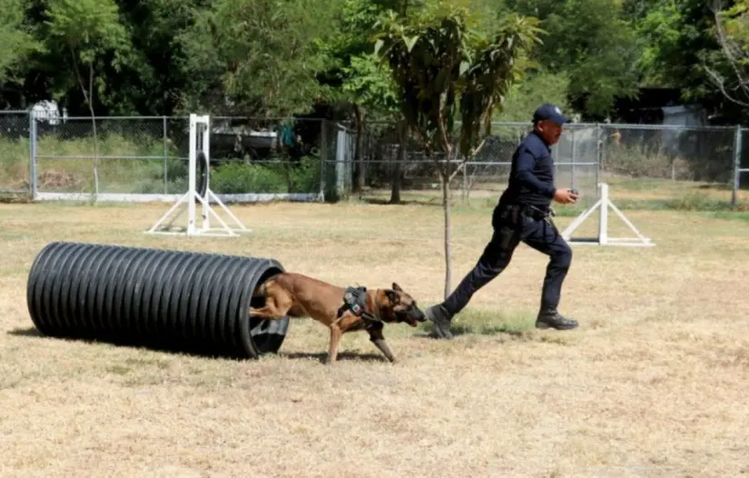 imagen recuadro imagen recuadro