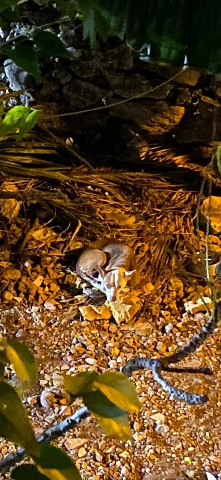 imagen recuadro imagen recuadro