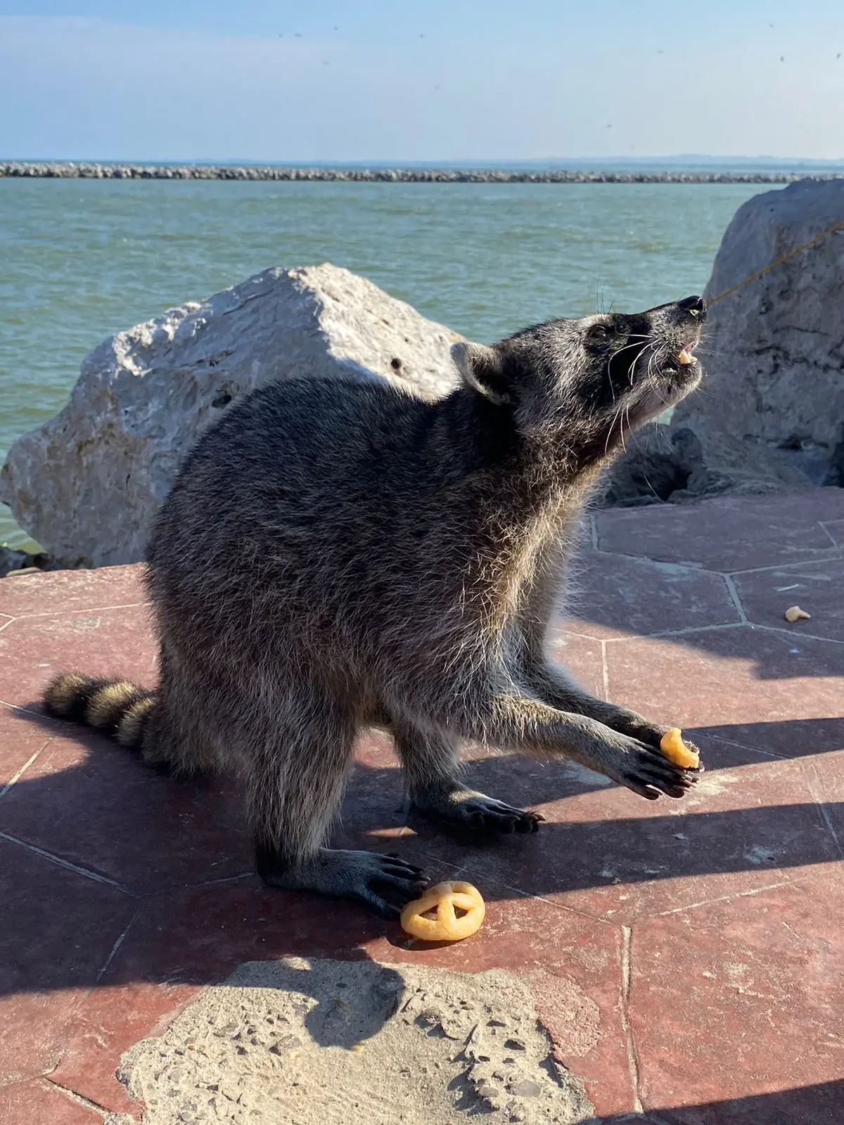 imagen recuadro imagen recuadro