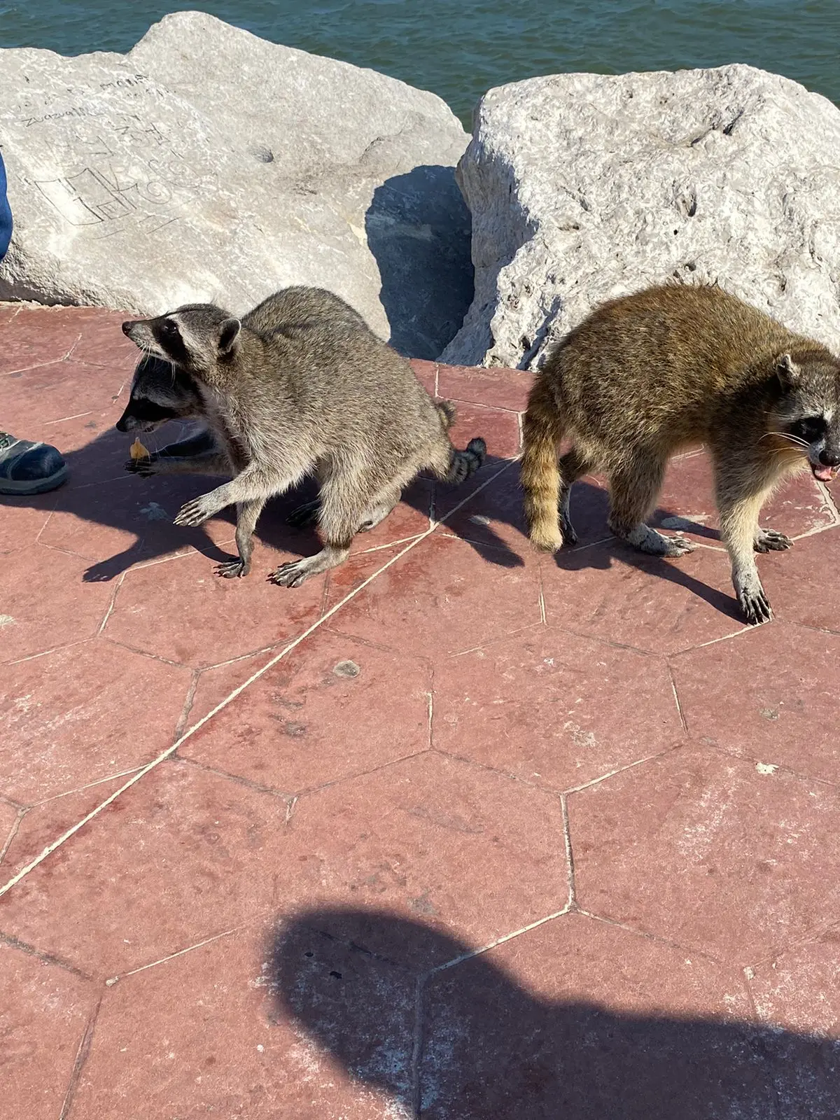 imagen recuadro imagen recuadro