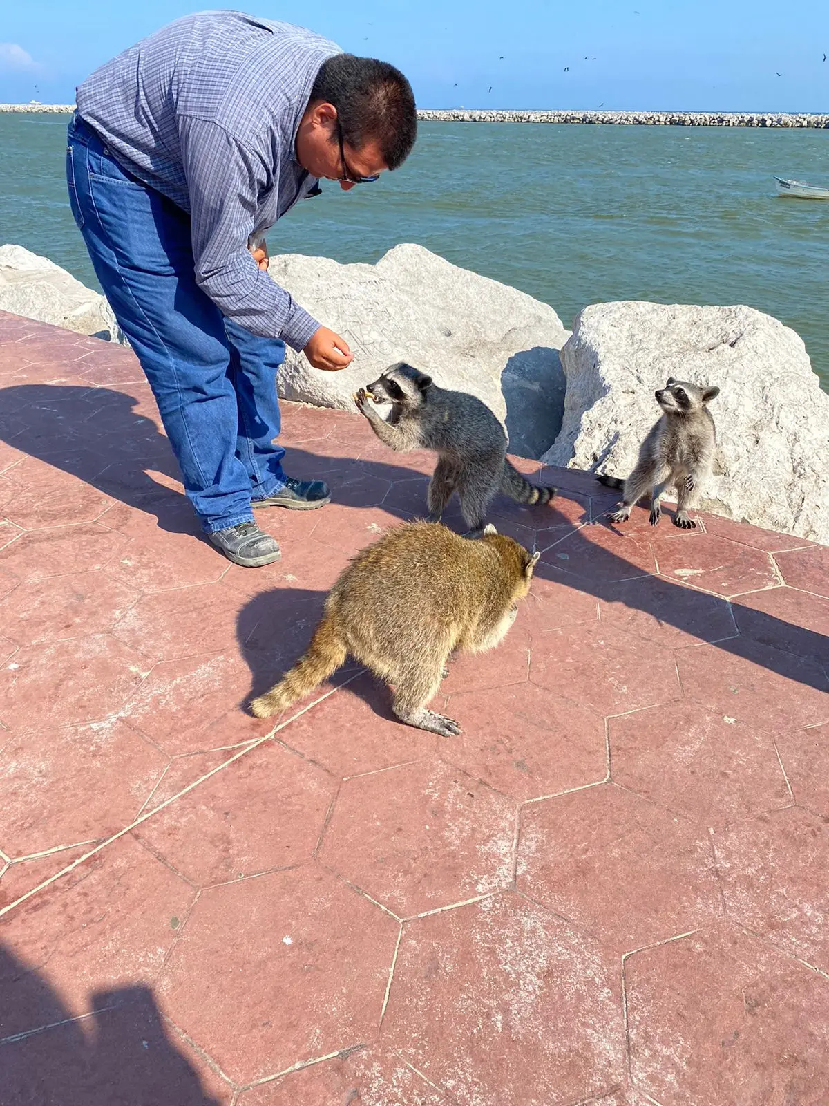 imagen recuadro imagen recuadro