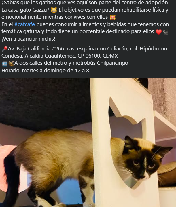 imagen recuadro