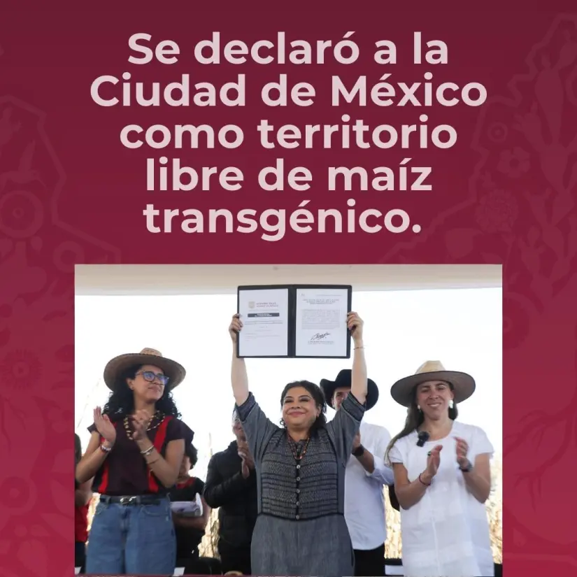 imagen recuadro