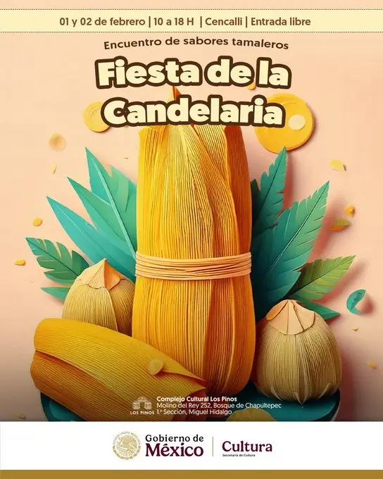 imagen recuadro