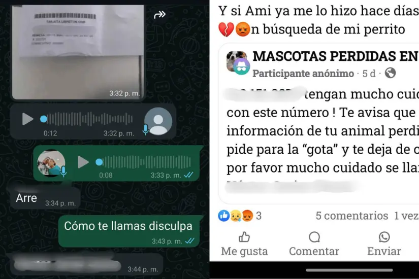 imagen recuadro