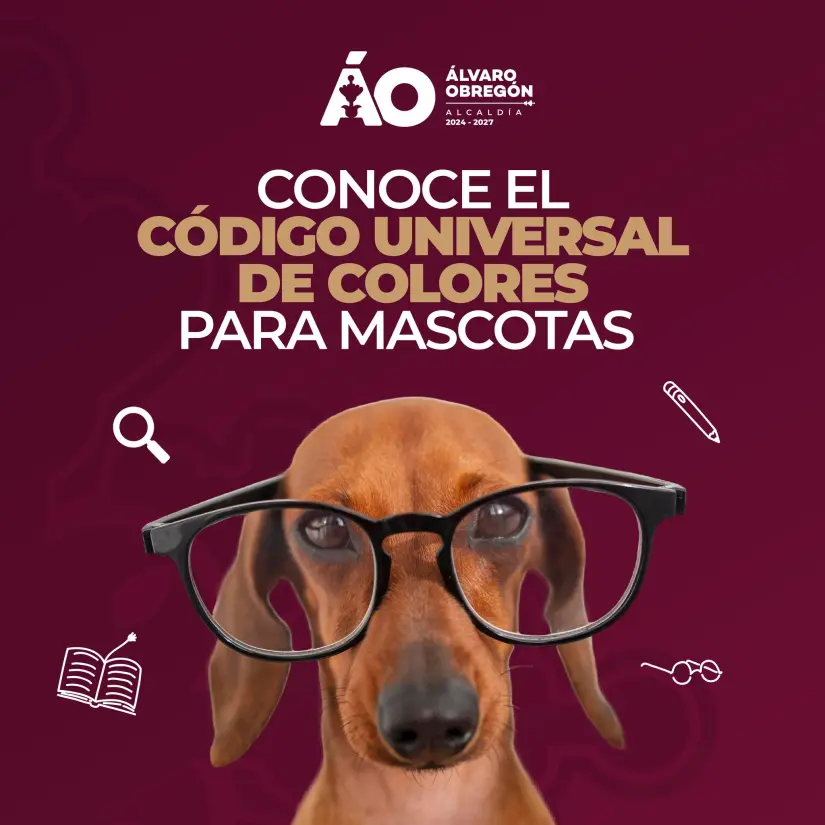 imagen recuadro