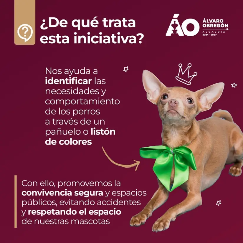 imagen recuadro