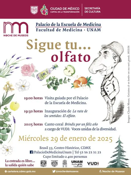 imagen recuadro