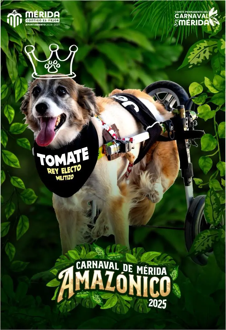 imagen recuadro imagen recuadro