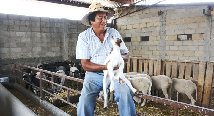 imagen recuadro