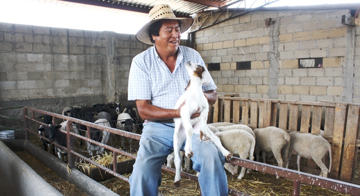 imagen recuadro