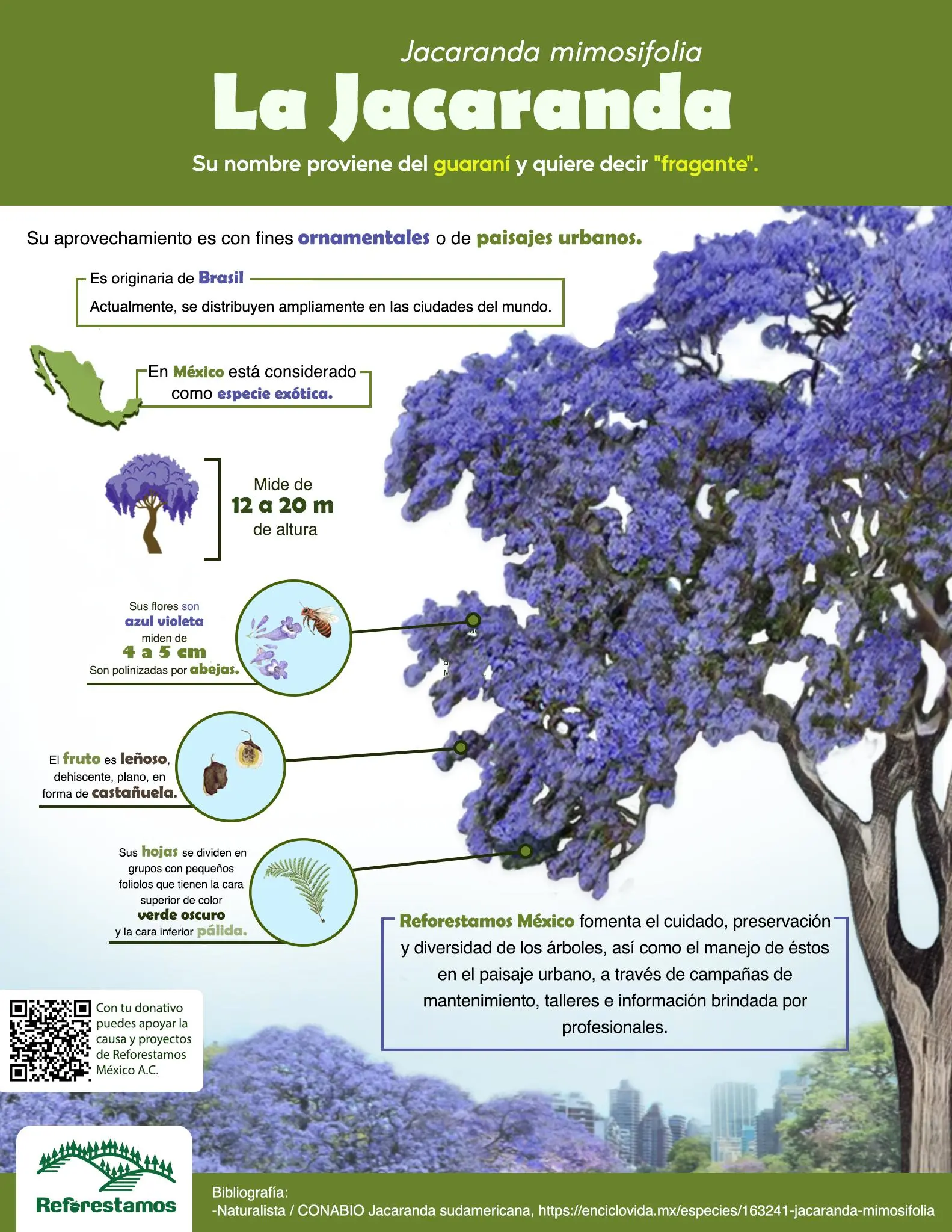 imagen recuadro imagen recuadro