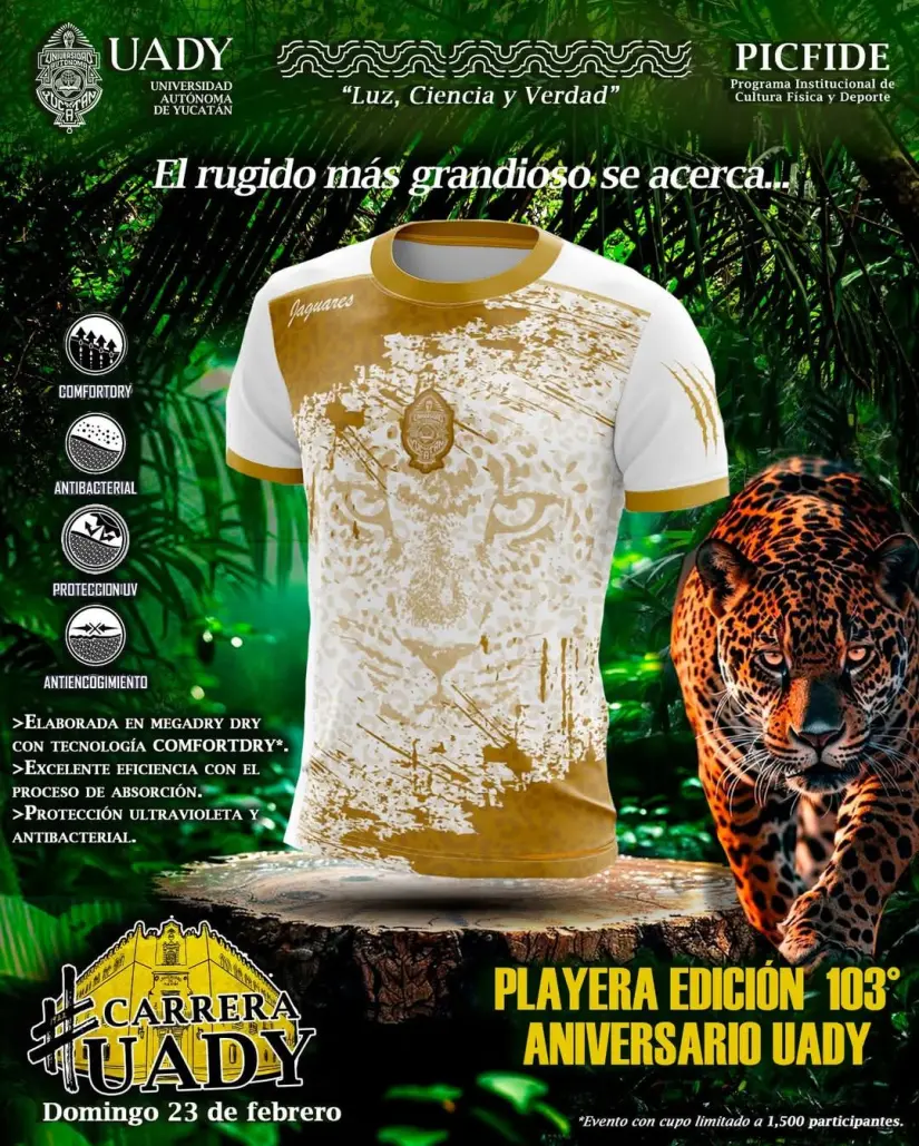 imagen recuadro