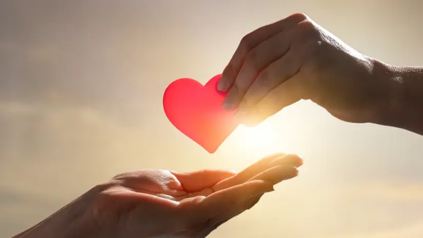 imagen recuadro imagen recuadro