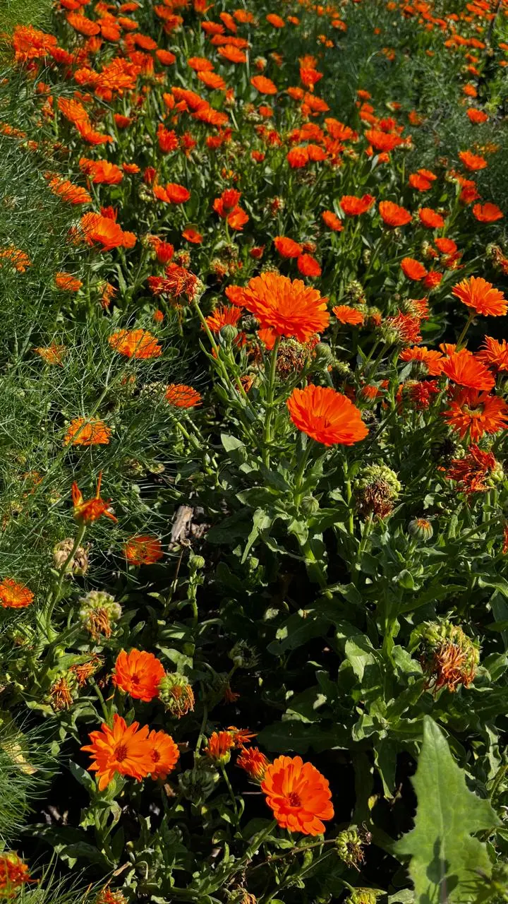 imagen recuadro imagen recuadro