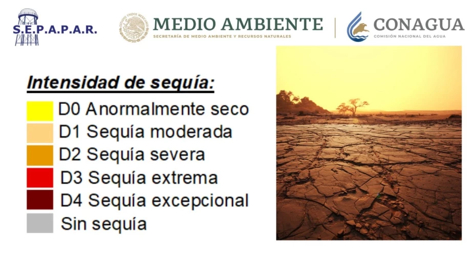 imagen recuadro