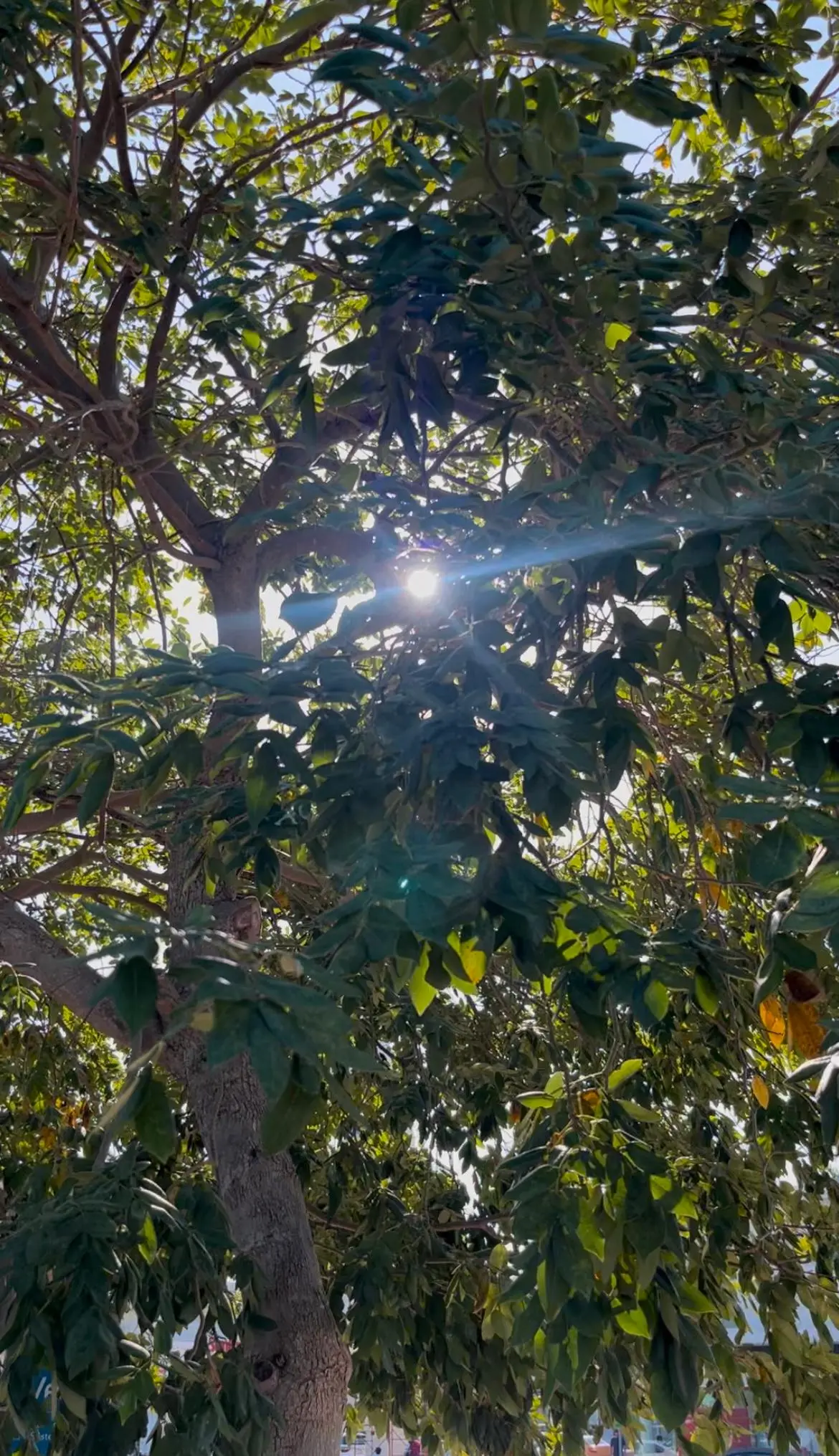 imagen recuadro imagen recuadro