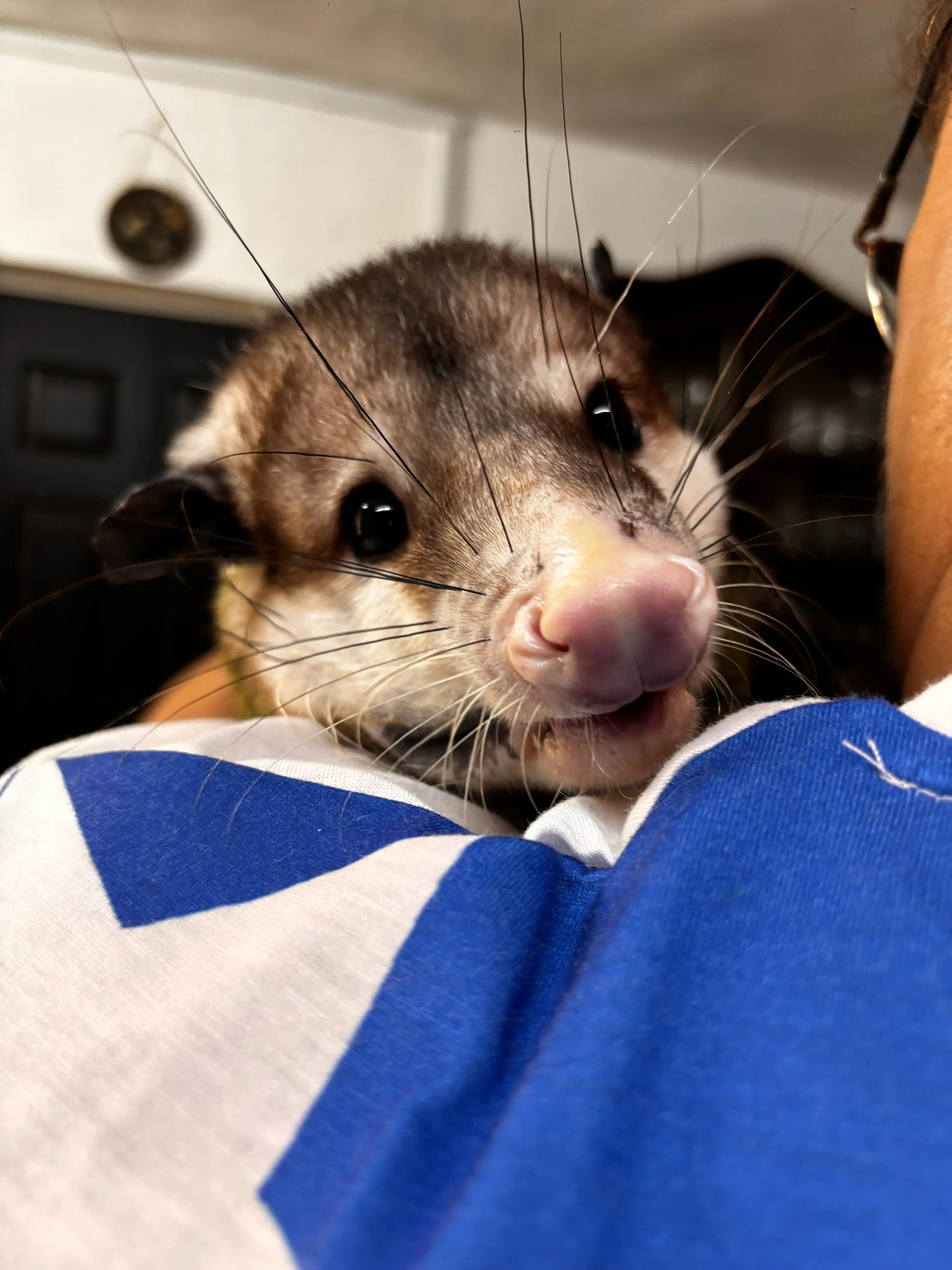 imagen recuadro imagen recuadro