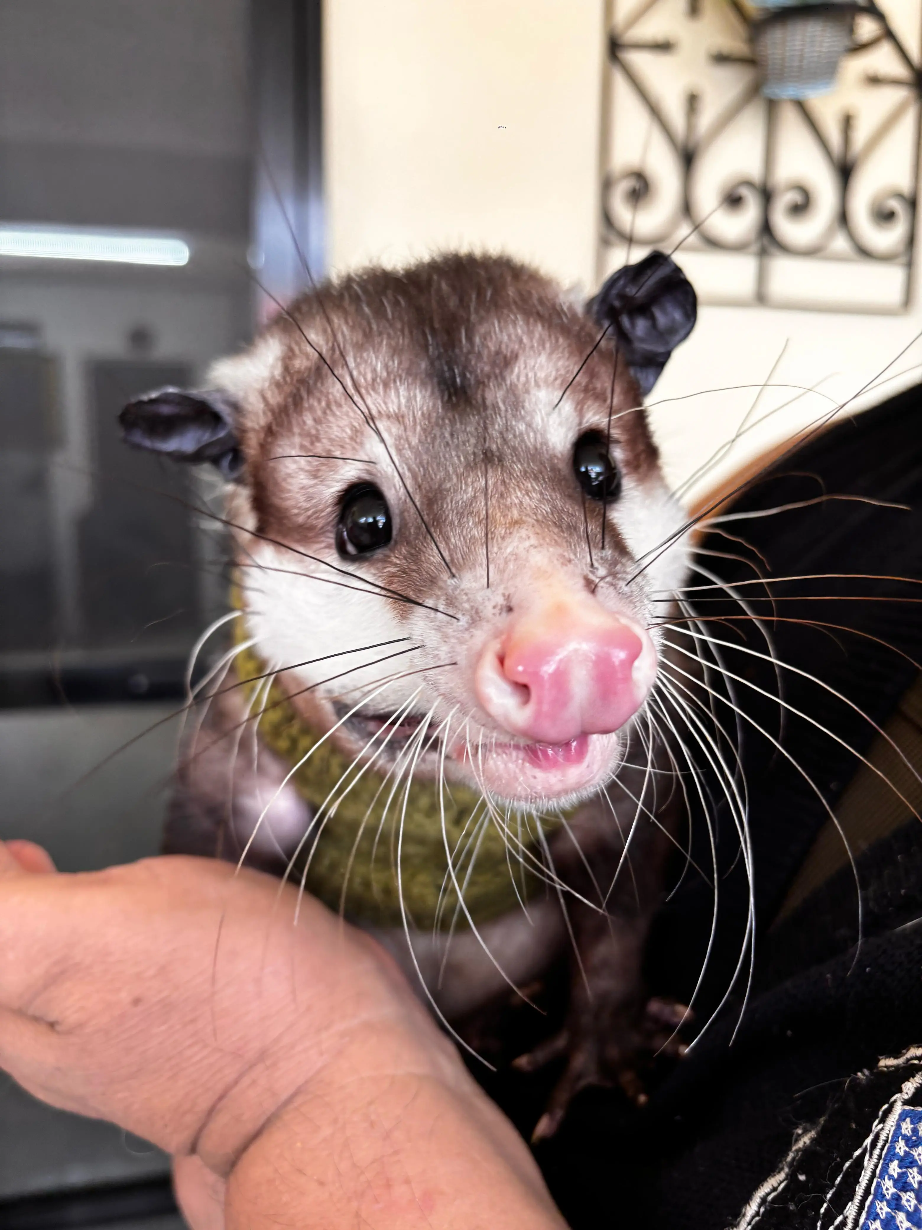 imagen recuadro imagen recuadro