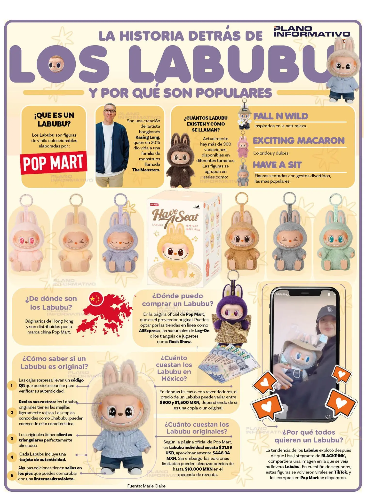 imagen recuadro imagen recuadro