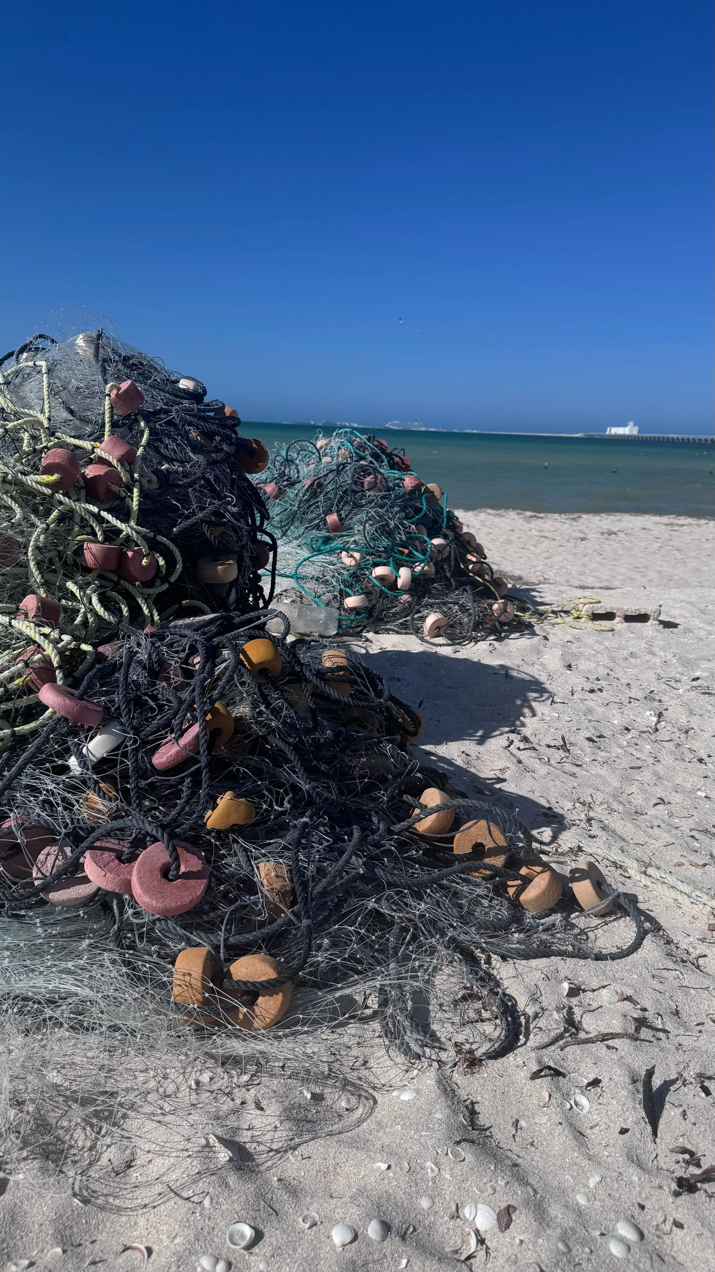 imagen recuadro imagen recuadro